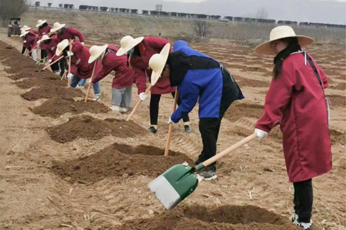 种植基地在建园环节